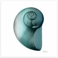 Empire Art Direct Shimmering Snail II Frameless Free Floating Tempered Glass Panel Graphic Wall Art TMP-AK030B-2424